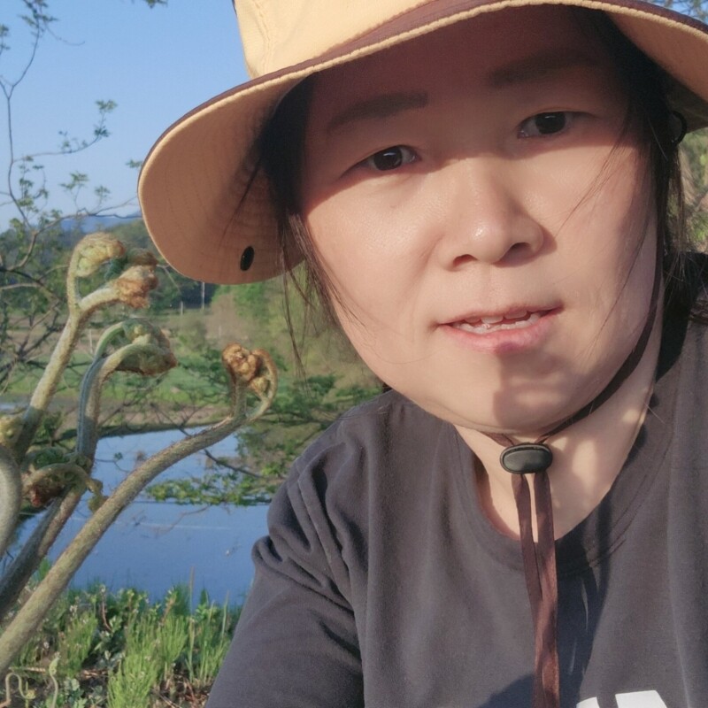 양양몰,직접 수확한 건고사리
