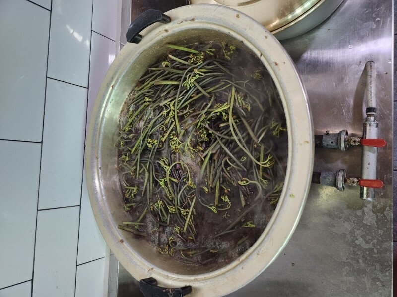 양양몰,직접 수확한 건고사리